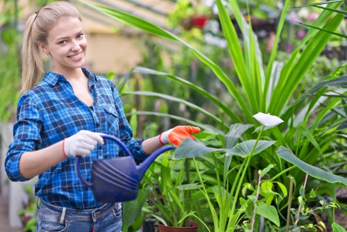 Tree lopping and removal service in Goodmayes with a professional arborist working safely