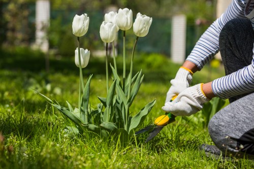 Healthy residential lawn in Goodmayes with neat mowing lines