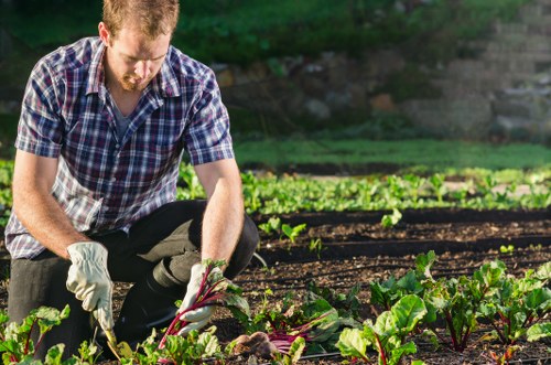 Gardening services in Goodmayes for tidy and healthy outdoor spaces