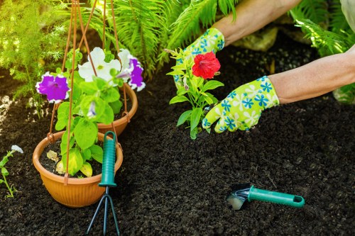 Risk assessment process for garden services in Goodmayes