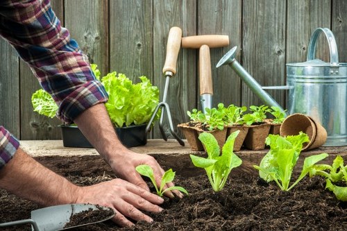 Annual review of modern slavery controls at Gardeners Goodmayes