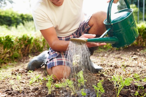 Landscape gardening in Goodmayes with patio and planting design