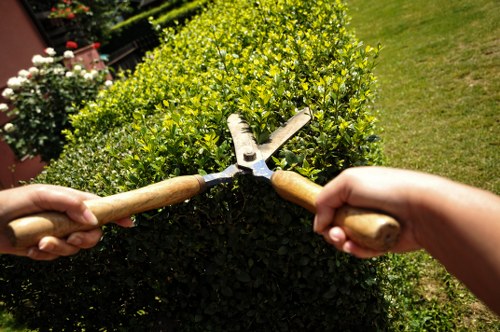 Goodmayes garden care with lawn and planting work