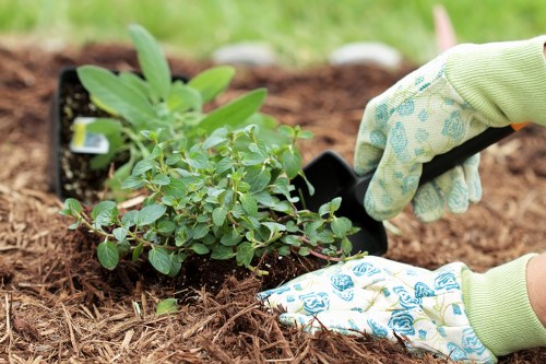 Staff training for safe gardening work in Goodmayes