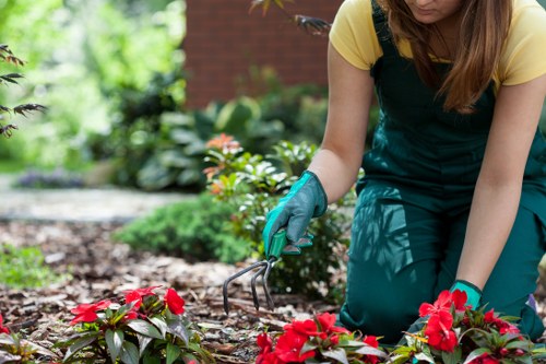 Professional patio washing in Goodmayes on stone paving