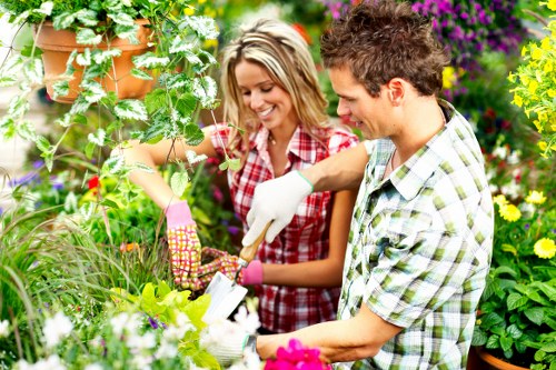 Gardeners Goodmayes creating a tidy and attractive backyard