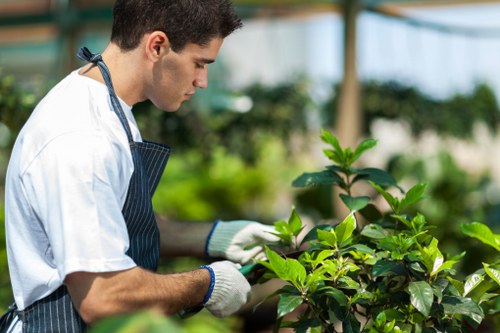 Load-based Gardeners Goodmayes quote for hedge trimming and green waste removal