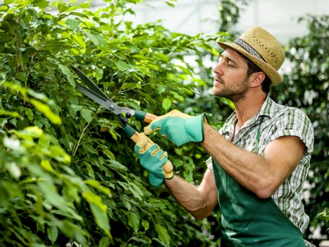 Team of gardeners working in a Goodmayes garden