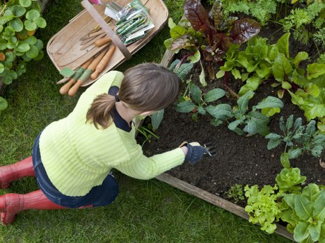 Worker applying safety controls in the garden