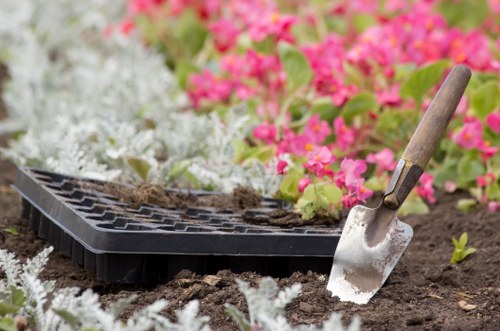 Moss and dirt removal during patio cleaning in Goodmayes