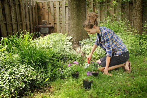 Free quote policy for Gardeners Goodmayes on a property near a busy local road