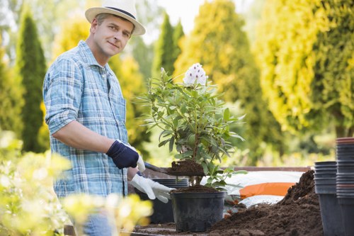 Lawn care and garden maintenance in Goodmayes