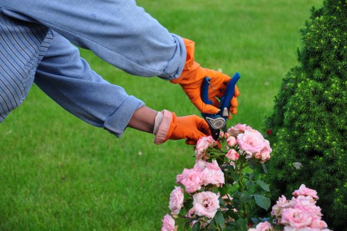 Seasonal hedge cutting work in Goodmayes with tidy results