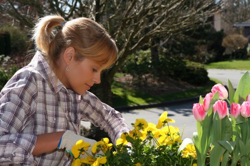 Seasonal garden maintenance by local gardeners