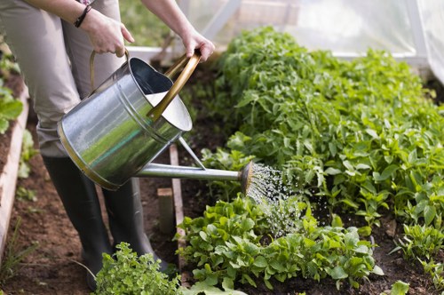 Professional garden upkeep in Goodmayes showing pruning, weeding, and lawn treatment