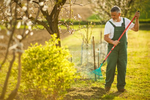 Freshly mown lawn with strong grass growth in Goodmayes
