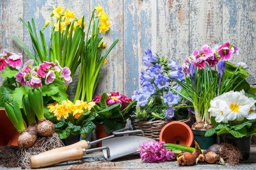 Professional garden clearance in Goodmayes removing garden debris and old items