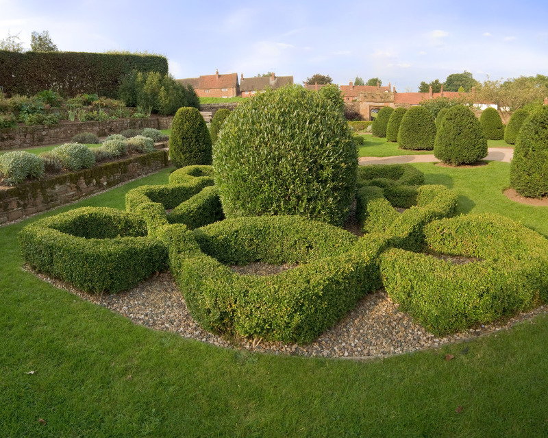 Garden yard