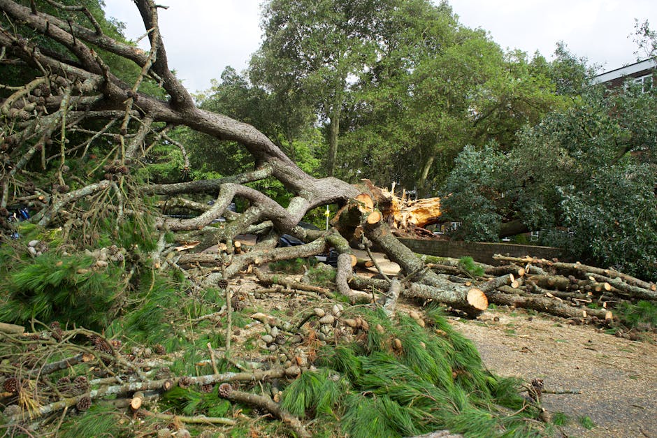 A gardener wearing a bright green t-shirt and an orange safety helmet is engaged in tree maintenance, holding a pole with a pruning or cutting tool at the end. The background features a modern industr