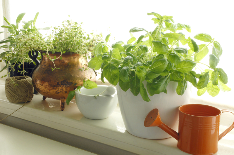 garden planting