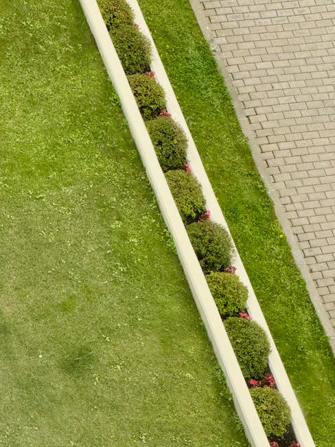 An aerial view of a well-maintained garden area showcasing a curved white garden bed filled with neatly trimmed spherical bushes planted in a row, each separated by small patches of pink flowers at th