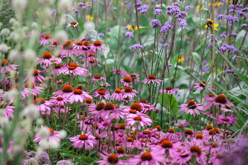 garden maintenance garden